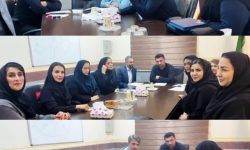 برگزاری سه نشست تخصصی در حوزه طرح ماوا، ورزش سالمندان و زنان و خانواده